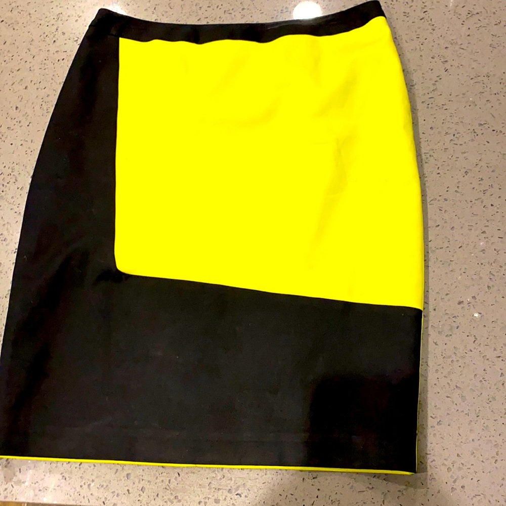Size 4 Skirt